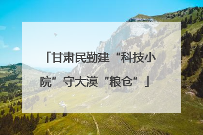 甘肃民勤建“科技小院”守大漠“粮仓”