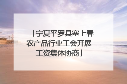 宁夏平罗县塞上春农产品行业工会开展工资集体协商