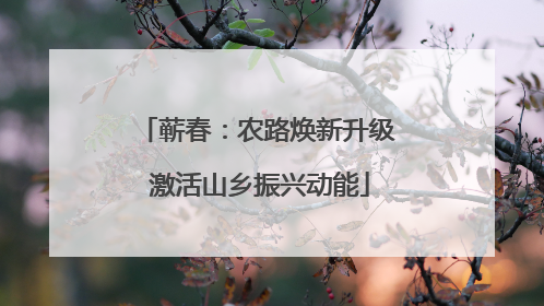 蕲春：农路焕新升级 激活山乡振兴动能